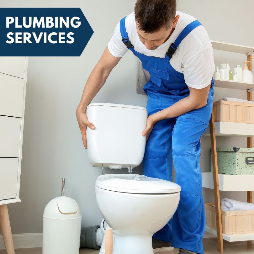 Plumbing Company in Rapids City, IL
